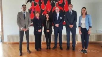 بمواصفات ألمانية.. تحرك جديد من سلامة الغذاء لتطوير الرقابة على الأسواق المصرية 1